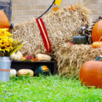 Local Fall Festivals Safety Tips