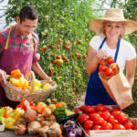 Sizzling July: How Local Agritourism and Farmers Markets Handle Peak Summer Risks