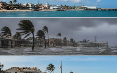 What to Do Before, During, and After a Hurricane Hits: A Step-by-Step Guide